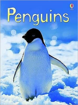 Penguins - Beginners - Emily Bone - Books - Usborne Publishing Ltd - 9780746099667 - August 28, 2009