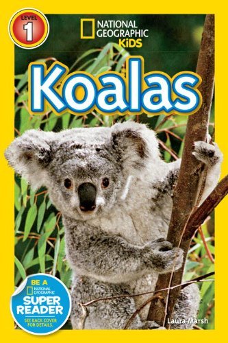 Koalas - National Geographic Readers: Level 1 - Laura Marsh - Książki - National Geographic Kids - 9781426314667 - 7 stycznia 2014