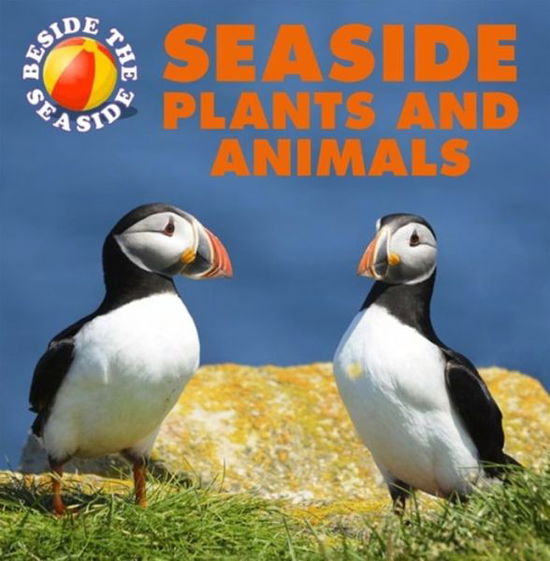 Cover for Claire Hibbert · Seaside Plants and Animals - Beside the Seaside (Hardcover Book) [Illustrated edition] (2016)