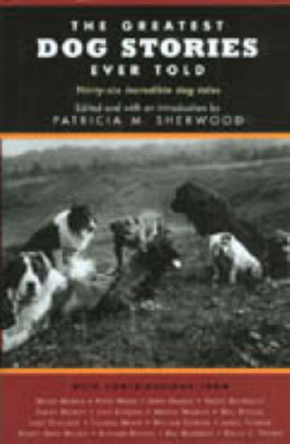 Cover for Patricia Sherwood · The Greatest Dog Stories Ever Told (Hardcover Book) (2001)