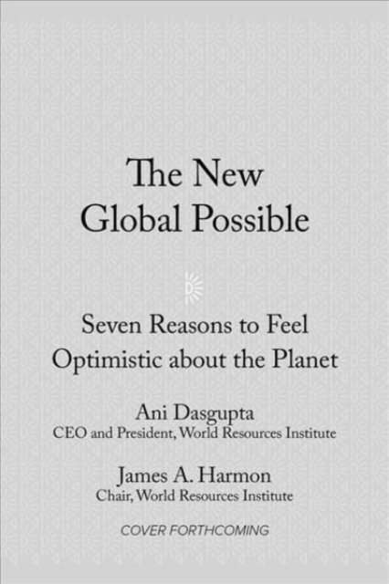Cover for Ani Dasgupta · The New Global Possible: Seven Reasons to Feel Optimistic about the Planet (Hardcover Book) (2024)