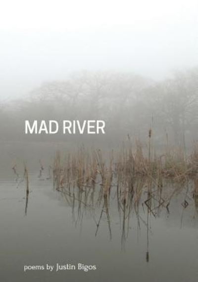 Cover for Justin Bigos · Mad River (Paperback Book) (2017)