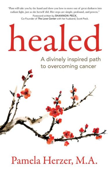 Cover for Pamela Herzer · Healed (Paperback Book) (2020)