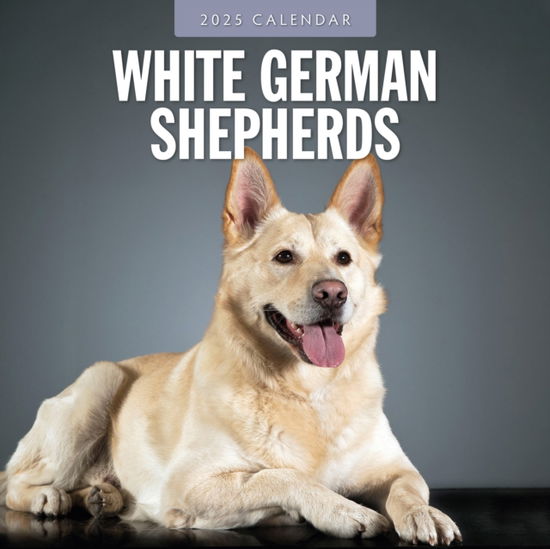 Red Robin · German Shepherd, White 2025 Square Wall Calendar (Paperback Book) (2024)