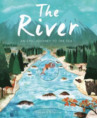 Cover for Patricia Hegarty · The River: An Epic Journey to the Sea (Pocketbok) (2018)