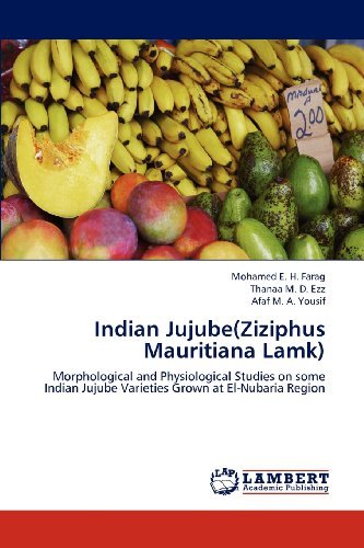 Cover for Afaf  M. A. Yousif · Indian Jujube (Ziziphus Mauritiana Lamk): Morphological and Physiological Studies on Some Indian Jujube Varieties Grown at El-nubaria Region (Paperback Book) (2012)