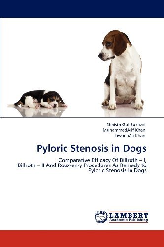 Cover for Jawariaali Khan · Pyloric Stenosis in Dogs: Comparative Efficacy of Billroth - I,  Billroth - II and Roux-en-y Procedures As Remedy to Pyloric Stenosis in Dogs (Paperback Book) (2012)