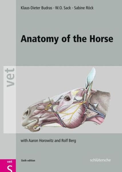 Cover for Budras, Klaus Dieter (University of Berlin, Germany) · Anatomy of the Horse (Innbunden bok) [6 New edition] (2012)