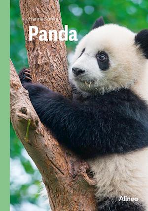 Cover for Hanne Korvig · Fagklub: Panda, Grøn Fagklub (Innbunden bok) [1. utgave] (2023)