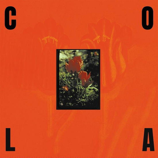 Cover for Cola · The Gloss (Black In Orange Vinyl) (LP) (2025)