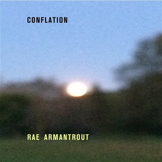 Cover for Rae Armantrout · Conflation (LP) (2019)