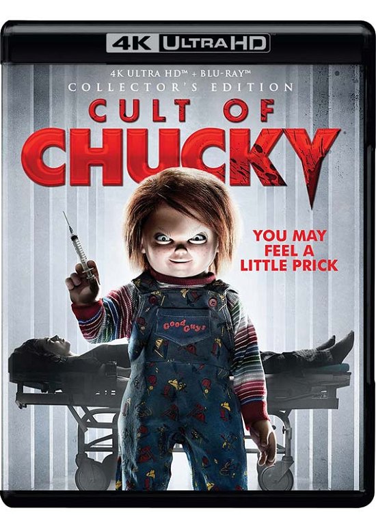 Cover for 4k Ultra Hd · Cult of Chucky (4K UHD Blu-ray) [Collector's edition] (2023)
