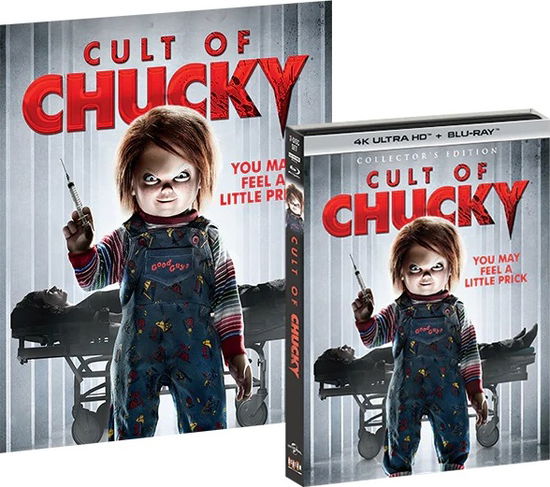 Cult of Chucky - 4k Ultra Hd - Filmes - HORROR - 0826663236668 - 29 de agosto de 2023