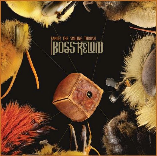 Cover for Boss Keloid · Family the Smiling Thrush (LP) (2021)
