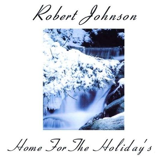 Home for the Holiday's - Robert Johnson - Musik - Jakarta Records Ltd. - 0884502348668 - 22. december 2009