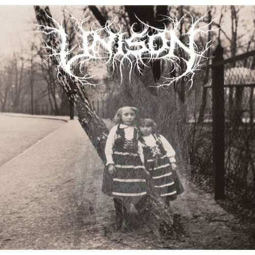 Cover for Unison (LP) (2019)