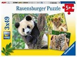 Cover for Ravensburger · Ravensburger Puzzel Panda Tijger en Leeuw 3x49st. (N/A)