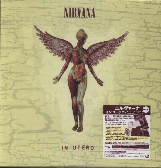Cover for Nirvana · In Utero (CD) (2013)