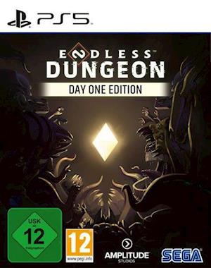 Cover for Playstation 5 · Endless Dungeon Day One Edition (ps5) (GAME)