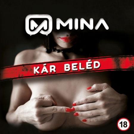 Kár beléd - Mina - Musik -  - 5999860095668 - 