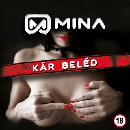 Cover for Mina · Kár beléd (CD)