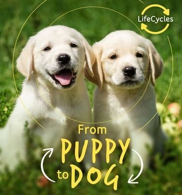 Cover for Camilla de la Bedoyere · From Puppy to Dog (Buch) (2020)