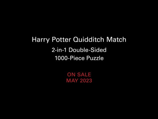 Cover for Donald Lemke · Harry Potter Quidditch Match 2-in-1 Double-Sided 1000-Piece Puzzle (Book) (2023)