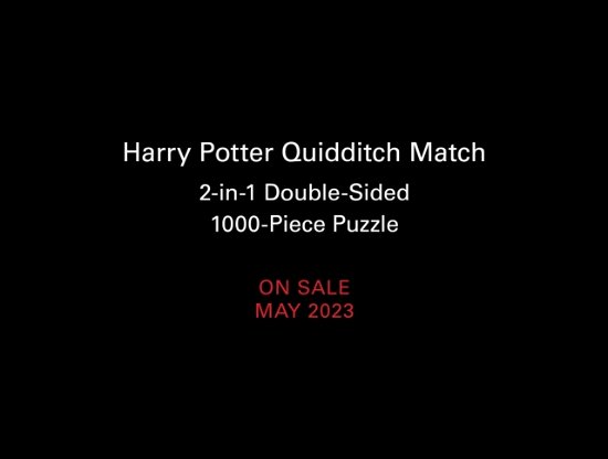 Cover for Donald Lemke · Harry Potter Quidditch Match 2-in-1 Double-Sided 1000-Piece Puzzle (Bok) (2023)