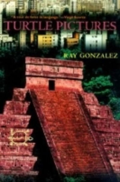 Turtle Pictures - Ray Gonzalez - Books - University of Arizona Press - 9780816519668 - January 30, 2000