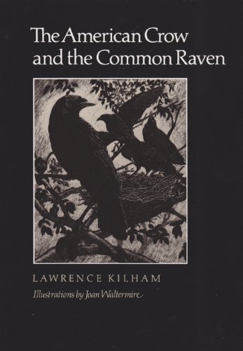Cover for Kilham · The American Crow &amp; Common Raven (Pocketbok) [Reprint edition] (1990)