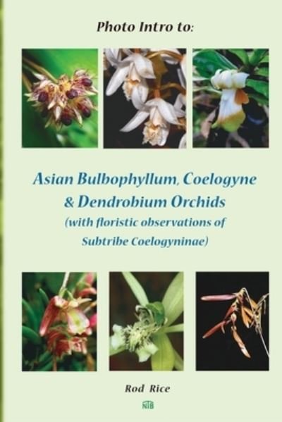 Cover for Rod Rice · Photo Intro to Asian Bulbophyllum, Coelogyne &amp; Dendrobium Orchids (Paperback Book) (2019)