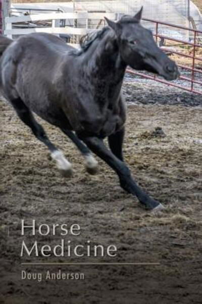 Cover for Doug Anderson · Horse Medicine (Pocketbok) (2015)