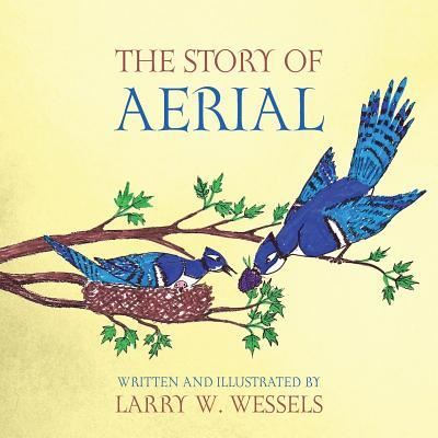 Cover for Larry W Wessels · The Story of Aerial (Paperback Book) (2016)