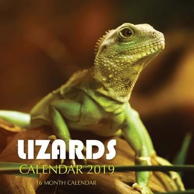 Cover for Mason Landon · Lizards Calendar 2019 (Paperback Book) (2018)