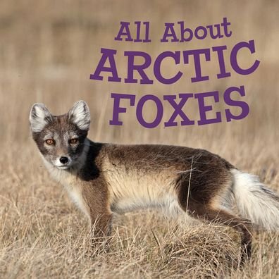 Cover for Jordan Hoffman · All About Arctic Foxes: English Edition - Nunavummi Reading Series (Pocketbok) [English edition] (2020)