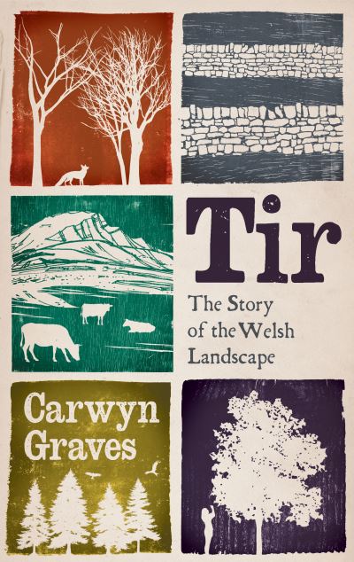 Cover for Carwyn Graves · Tir: The Story of the Welsh Landscape (Gebundenes Buch) (2024)