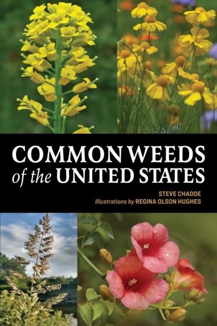 Cover for Steve W Chadde · Common Weeds of the United States (Paperback Book) (2022)