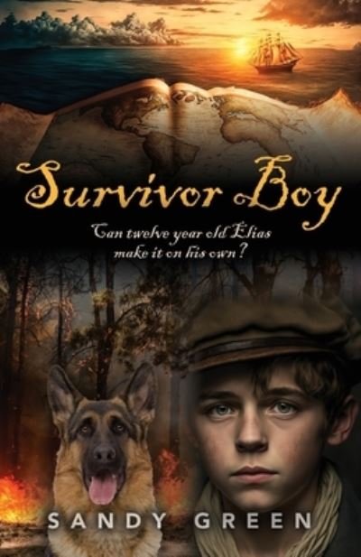 Cover for Sandy Green · Survivor Boy (Paperback Book) (2023)