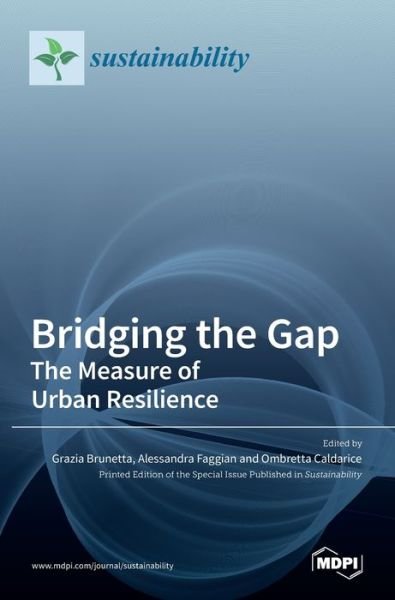 Cover for Grazia Brunetta · Bridging the Gap (Hardcover Book) (2021)