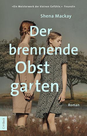 Cover for Shena Mackay · Der brennende Obstgarten (Bog) (2025)
