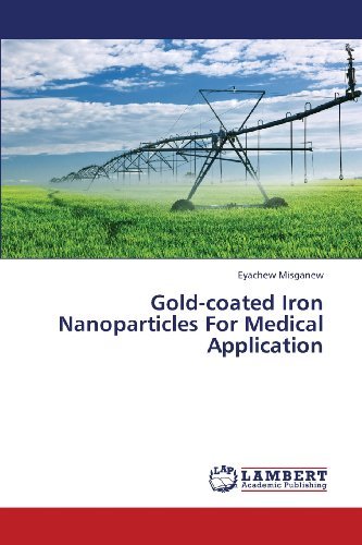 Cover for Eyachew Misganew · Gold-coated Iron Nanoparticles for Medical Application (Paperback Book) (2013)