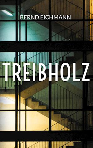 Cover for Bernd Eichmann · Treibholz (Book) (2024)