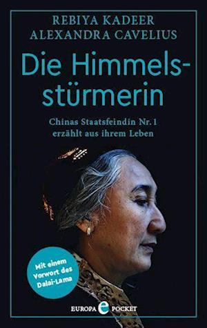 Cover for Alexandra Cavelius · Die Himmelsstürmerin (Paperback Book) (2022)