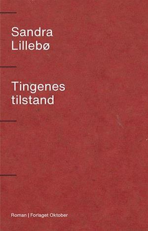 Cover for Sandra Lillebø · Tingenes tilstand : roman (Bound Book) (2020)