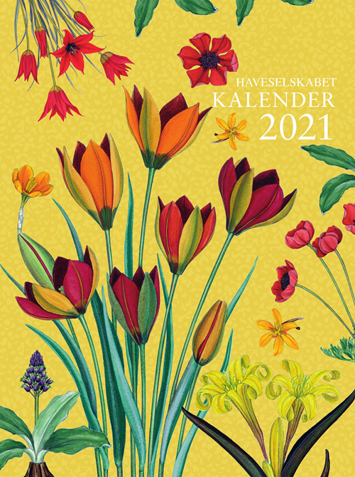 Haveselskabet Kalender 2021 - Gyldendal - Livres - Gyldendal - 9788702294668 - 11 septembre 2020
