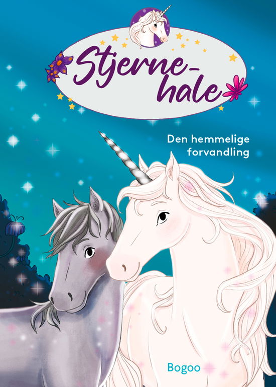 Cover for Linda Chapman · Stjernehale: Den hemmelige forvandling (Hardcover Book) [1. wydanie] (2024)