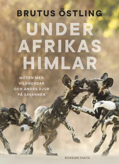 Cover for Brutus Östling · Under Afrikas himlar : Möten med vildhundar och andra djur på savanner (Bound Book) (2018)