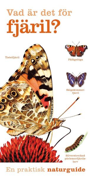 Cover for Tom Jackson · En praktisk naturguide: Vad är det för fjäril? (Book) (2020)