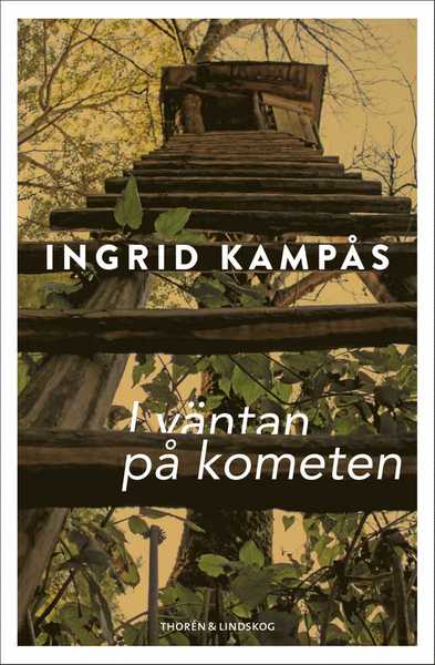 Cover for Ingrid Kampås · I väntan på kometen (Hardcover Book) (2020)