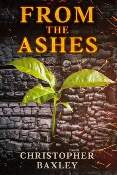 Christopher Baxley · From The Ashes: from the soft nylon rope around my neck, to the dreams of walking in hell while trying to breathe. how I found my path with the blood of Jesus. (Paperback Book) (2020)